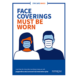 Face Covering Poster