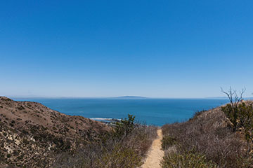walking trail overlooking ocean