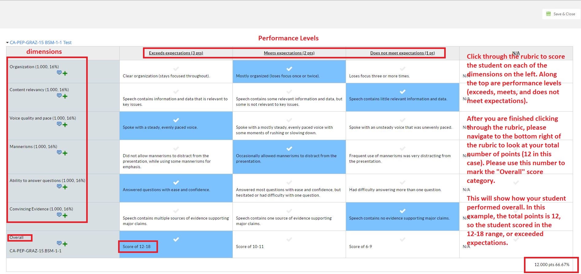 Fourth step in the assessment process, clicking through the rubric.