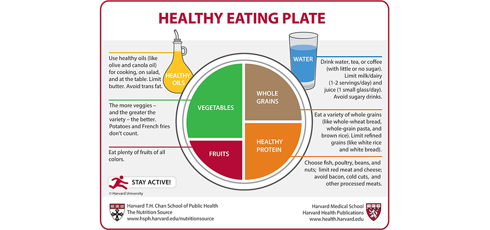 Healthy Eating Plate