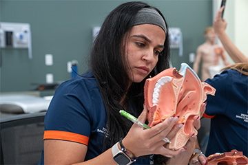 slp student looking at model