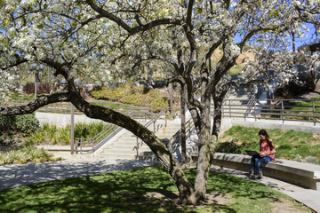 Student studying on Seaver campus