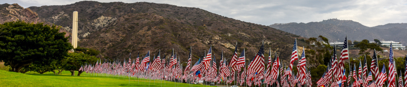 Waves of Flags on Alumni Park