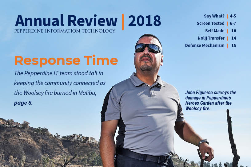 2018 IT Annual Review