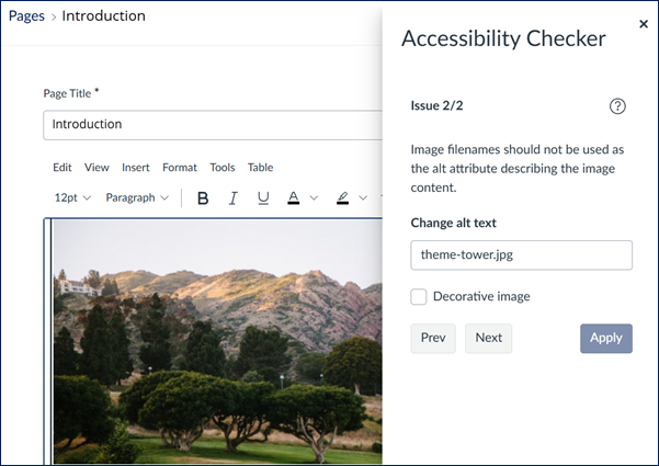 Canvas LMS accessibility checker open with notice about image alternative text should not be the file name. Professor should edit and replace with a meaningful description or mark as decorative.