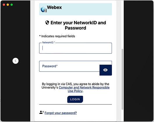 CAS authentication screen