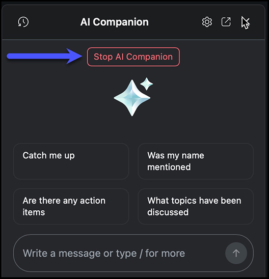 Stop Zoom AI Companion