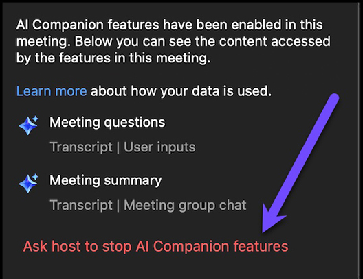 Ask host to stop AI Companion
