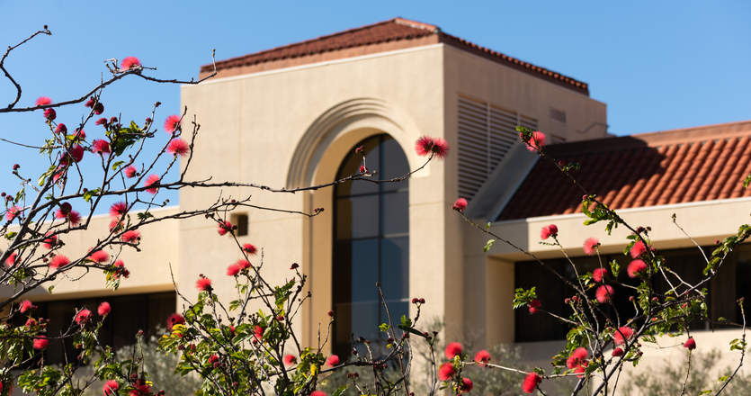 Red flowers in the foreground of the Caruso School of Law Building