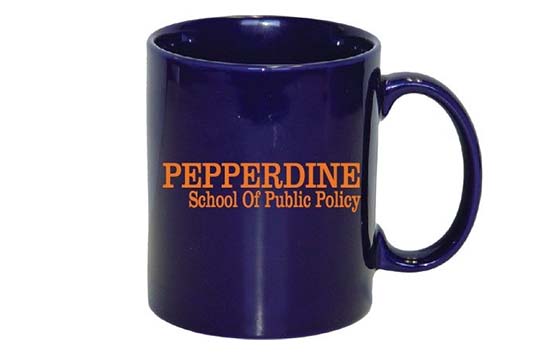 SPP mug