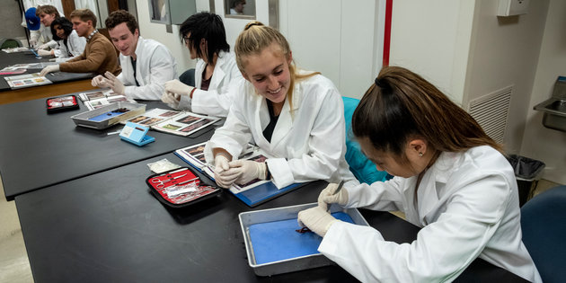 Seaver students sitting in a lab, examining their dissection