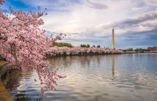 Washington, DC