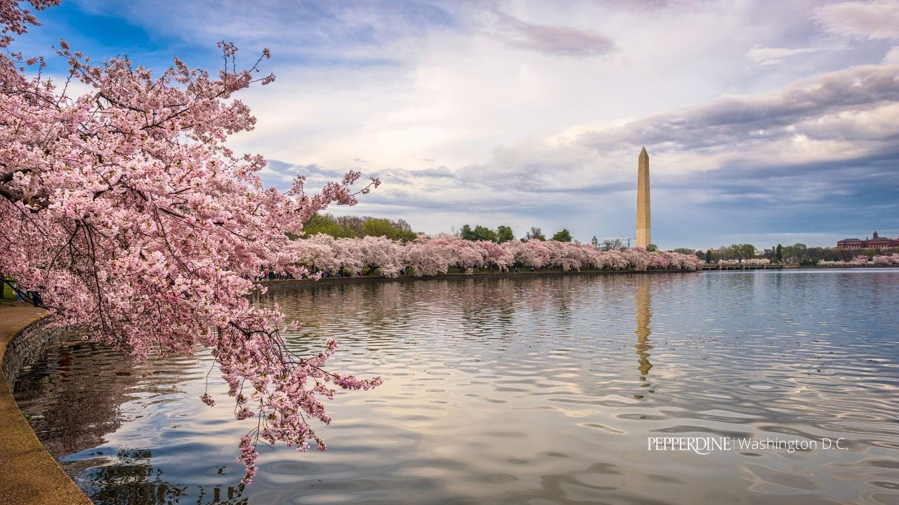 photo of Washington, D.C.