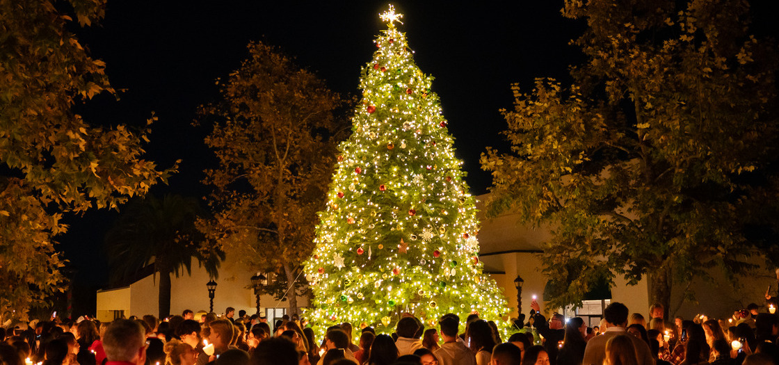 Christmas tree lighting ceremony 2025