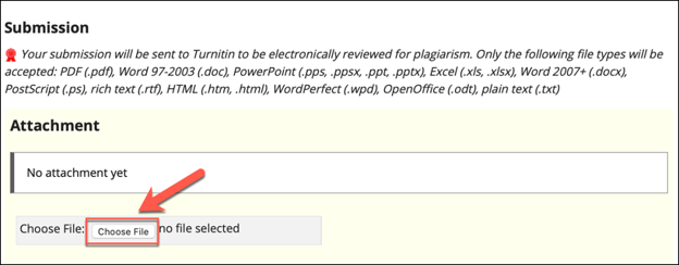 Uploading an attachment and acknowledging Turnitin Policy