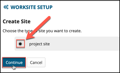 Click the Project Site radio button, and then click Continue.