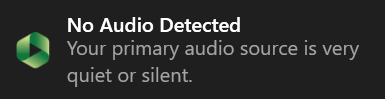No Audio Detected