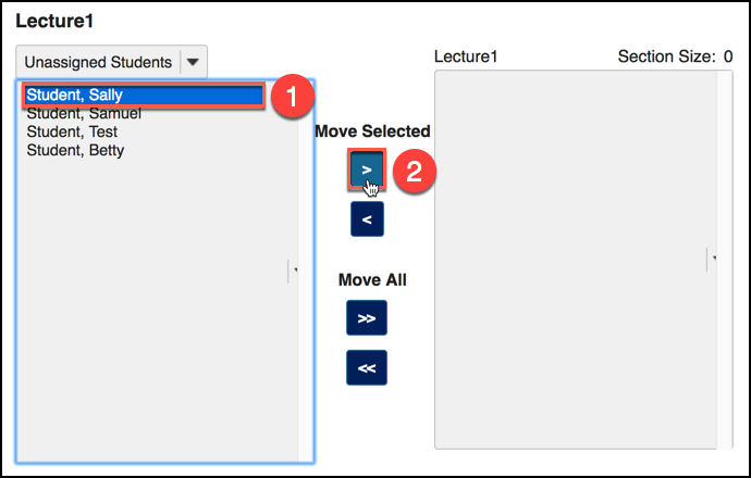 Select each name or multiple names and use the move buttons to associate students with each section.