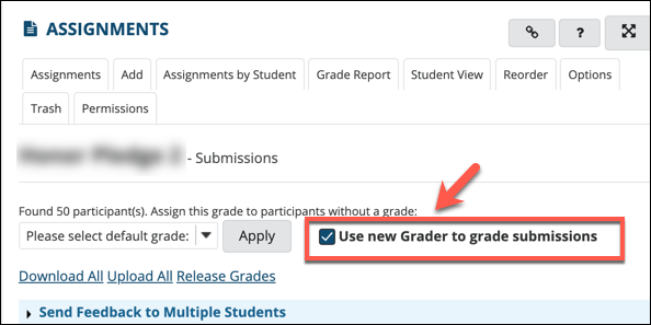 Use New Grader checkbox