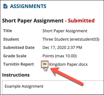 Turnitin flag icon for student submission view is located next to the paper file name