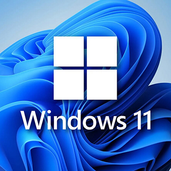 Windows 11